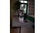 toilettage chien