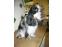 toilettage chien