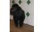 toilettage chien