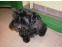 toilettage chien